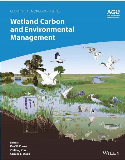 Managing Water Regimes: Controlling Greenhouse Gas Emissions and Fires in Indonesian Tropical Peat Swamp Forests