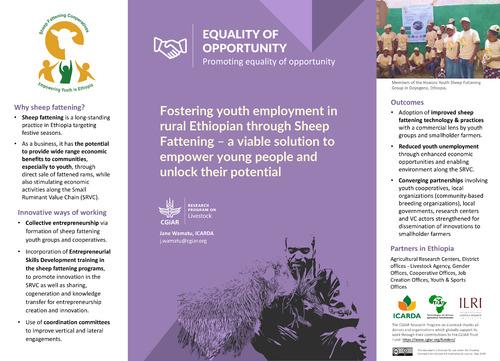 Fostering youth employment in rural Ethiopian through Sheep Fattening – a viable solution to empower young people and unlock their potential
