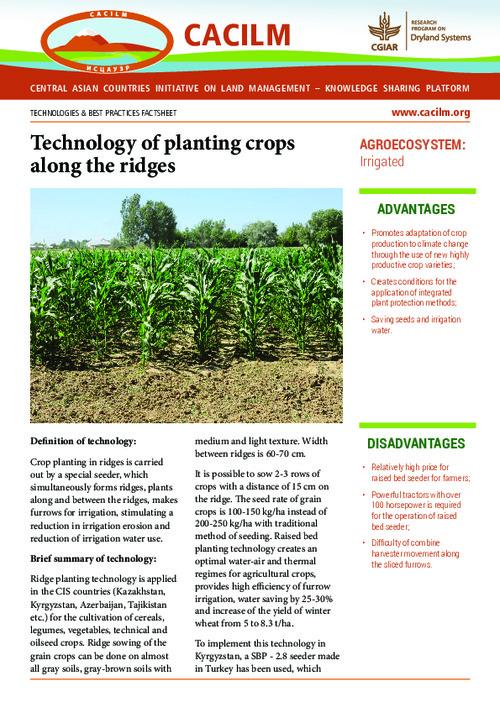 Technology of planting crops along the ridges