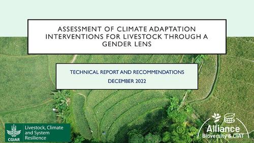 Assessment of climate change adaptation interventions for livestock through a gender lens