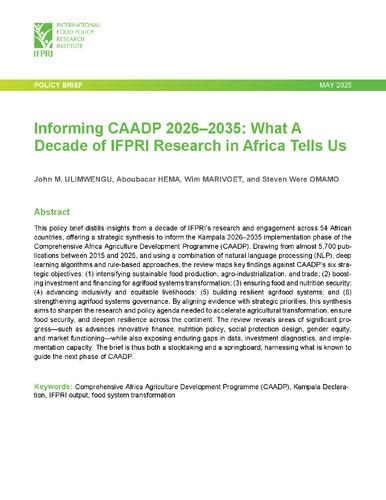 Informing CAADP 2026–2035: What a decade of IFPRI Research in Africa tells us