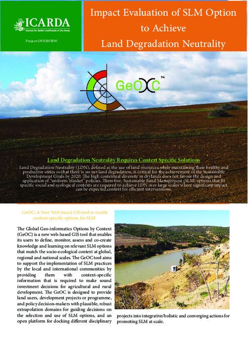 Global Geo-Informatics Options by Context (GeOC) Flyer (English version)