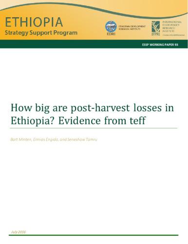 How big are post-harvest losses in Ethiopia? Evidence from teff