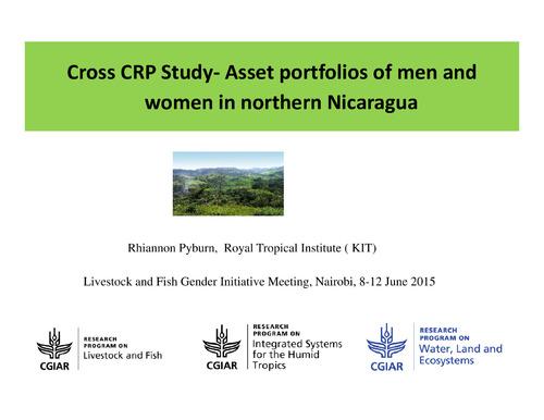 Cross CRP Study: Asset portfolios of men and women in northern Nicaragua