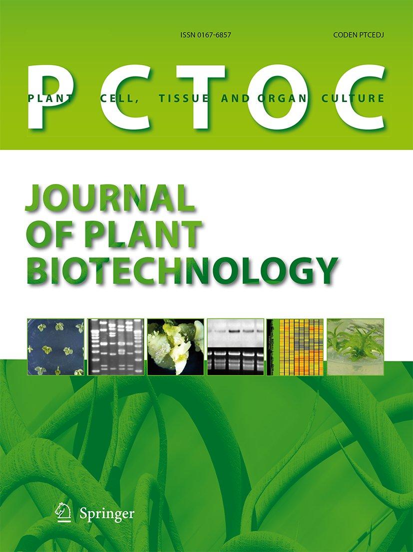 Thiamine improves in vitro propagation of sweetpotato [Ipomoea batatas (L.) Lam.] – confirmed with a wide range of genotypes