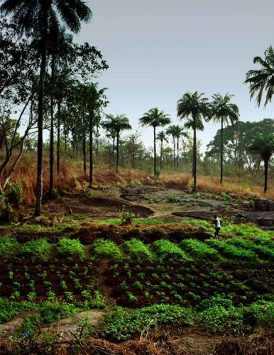 Land and soil management: Promoting healthy soils for healthier agricultural systems