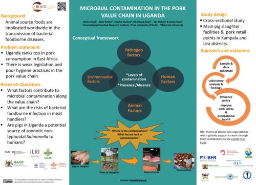 Microbial contamination in the pork value chain in Uganda