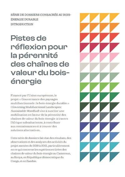 Pistes de réflexion pour la pérennité des chaînes de valeur du bois-énergie