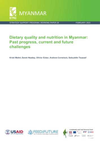Dietary quality and nutrition in Myanmar: Past progress, current and future challenges