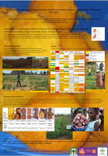 Evaluation and release of orange-fleshed sweetpotato (Ipomea batatas L.) varieties in the Angolan highlands.