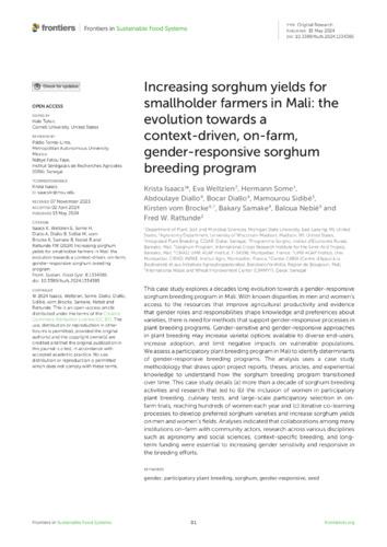 Increasing sorghum yields for smallholder farmers in Mali: the evolution towards a context-driven, on-farm, gender-responsive sorghum breeding program