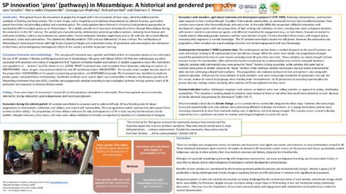 SP innovation ‘pires’ (pathways) in Mozambique: A historical and gendered perspective