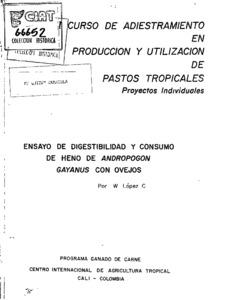 Ensayo de digestibilidad y consumo de heno de Andropogon gayanus con ovejos