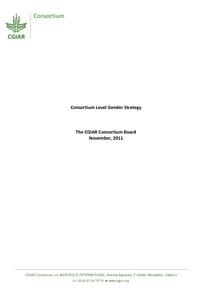 Consortium Level Gender Strategy