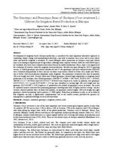 The Genotypic and Phenotypic Basis of Chickpea (Cicer arietinum L.) Cultivars for Irrigation-Based Production in Ethiopia
