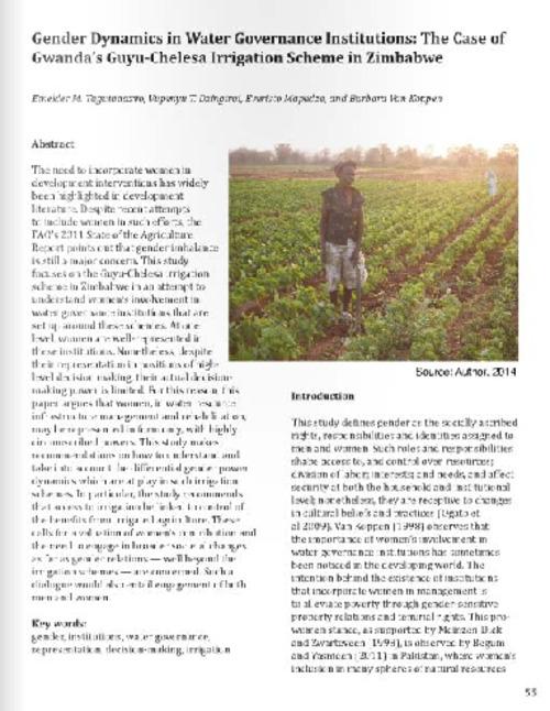 Gender dynamics in water governance institutions: the case of Gwanda's Guyu-Chelesa Irrigation Scheme in Zimbabwe