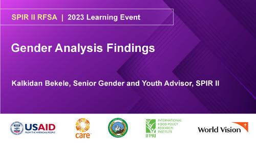 Gender Analysis Findings