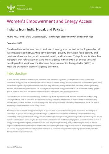 Women’s empowerment and energy access: Insights from India, Nepal, and Pakistan