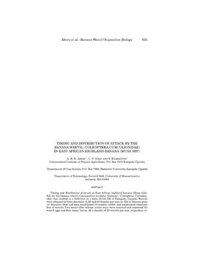 Timing and distribution of attack by the banana weevil (Coleoptera: curculionidae) in East African highland banana (Musa spp.)