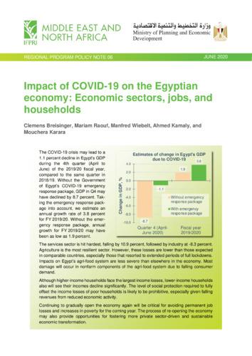 Impact of COVID-19 on the Egyptian economy: Economic sectors, jobs, and households