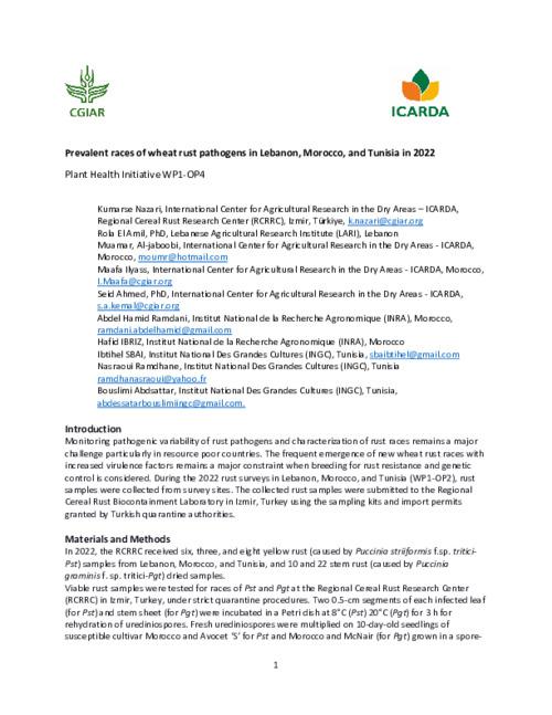 Prevalent races of wheat rust pathogens in Lebanon, Morocco, and Tunisia in 2022