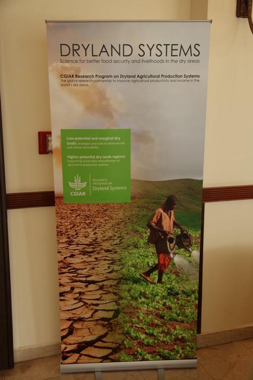 CGIAR Research Program on Dryland Systems launch meeting. Second day_photo 24