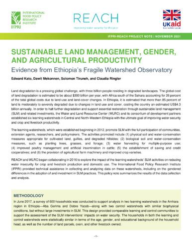 Sustainable land management, gender, and agricultural productivity: Evidence from Ethiopia's fragile watershed observatory