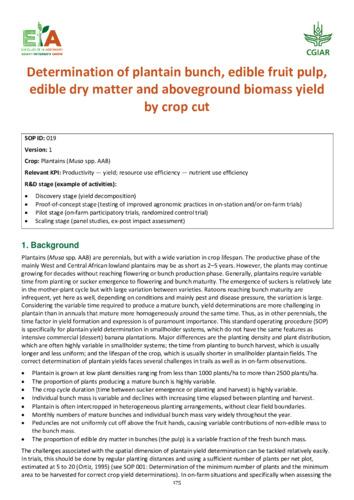 Determination of plantain bunch, edible fruit pulp, edible dry matter and aboveground biomass yield by crop cut