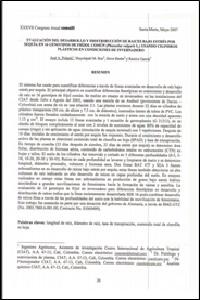 Evaluación del desarrollo y distribución de raíces bajo estrés por sequía en 16 genotipos de frijol común (Phaseolus vulgaris L.) usando cilindros plásticos en condiciones de invernadero