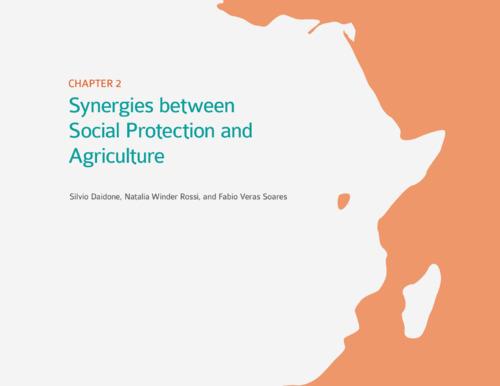 Synergies between social protection and agriculture