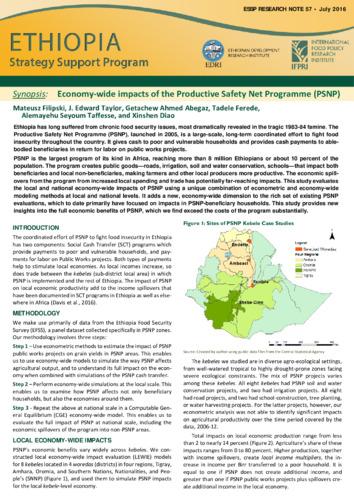 Synopsis: Economy-wide impacts of the Productive Safety Net Programme (PSNP)