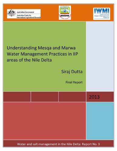 Understanding Mesqa and Marwa Water Management Practices in IIP areas of the Nile Delta. Final Report
