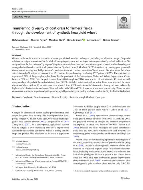Transferring diversity of goat grass to farmers’ fields through the development of synthetic hexaploid wheat