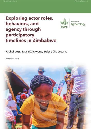 Exploring actor roles, behaviors, and agency through participatory timelines in Zimbabwe