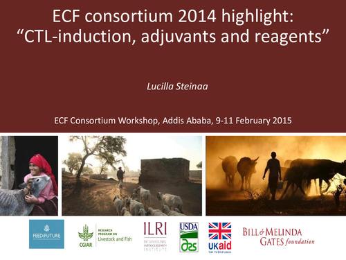 CTL-induction, adjuvants and reagents