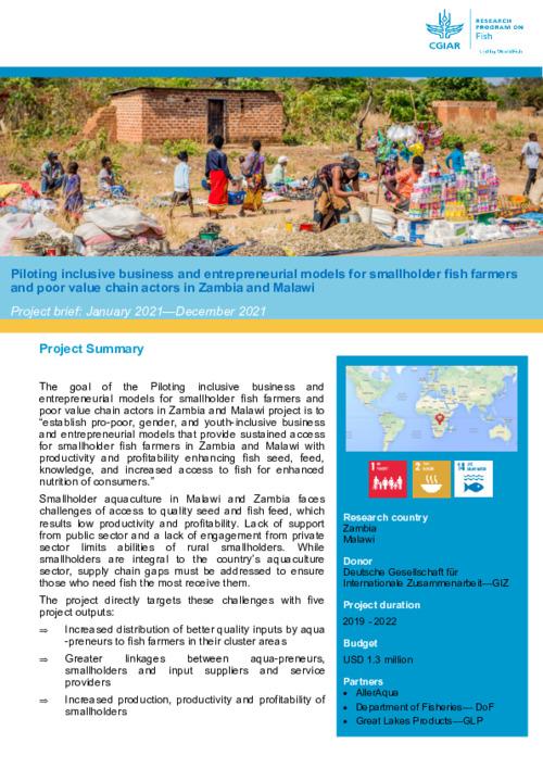 Piloting inclusive business and entrepreneurial models - Project Brief: January - December 2021