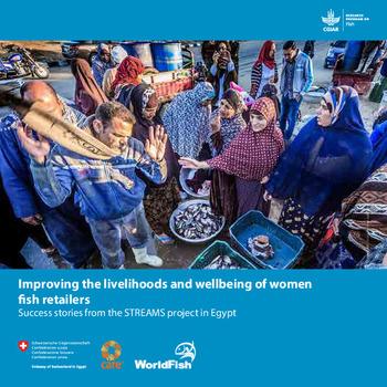Improving the livelihoods and wellbeing of women fish retailers: Success stories from the STREAMS project in Egypt