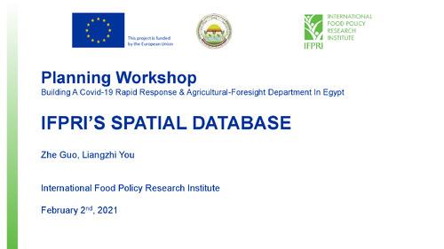 2021.01.21 - EU-IFPRI. GUO