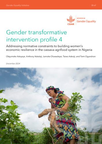 Gender transformative intervention profile 4: Addressing normative constraints to building women’s economic resilience in the cassava agrifood system in Nigeria