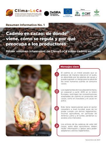 Cadmio en cacao: de dónde viene, cómo se regula y por qué preocupa a los productores