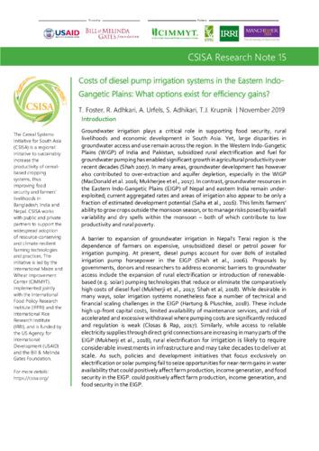 Costs of diesel pump irrigation systems in the Eastern Indo-Gangetic Plains: What options exist for efficiency gains?