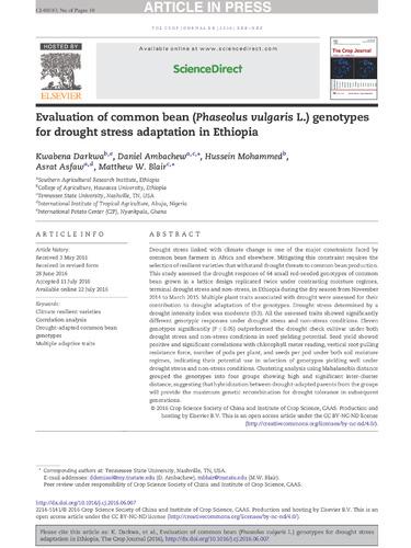 Evaluation of common bean (Phaseolus vulgaris L.) genotypes for drought stress adaptation in Ethiopia