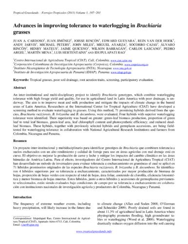 Advances in improving tolerance to waterlogging in Brachiaria grasses