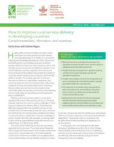 How to improve rural service delivery in developing countries: Complementarities, information, and incentives