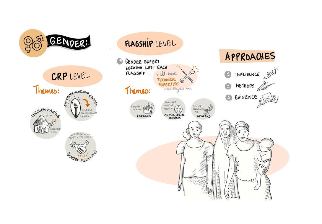 Gender in the Livestock CRP