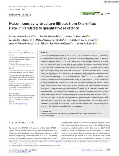 Maize insensitivity to culture filtrates from Exserohilum turcicum is related to quantitative resistance