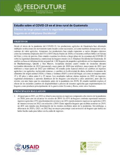 COVID-19 study in rural areas of Guatemala: Long-term impacts on food security and nutrition in the Western Highlands