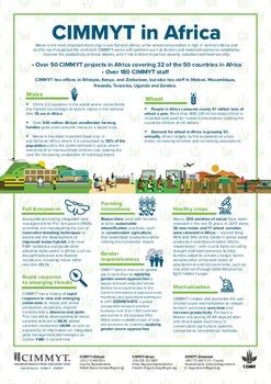 CIMMYT in Africa