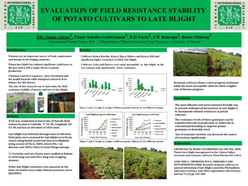 Evaluation of field resistance stability of potato cultivars to late blight.