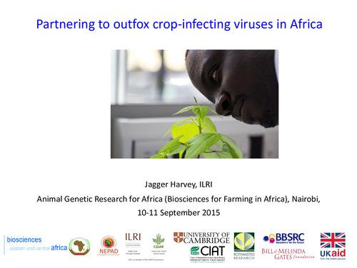 Partnering to outfox crop-infecting viruses in Africa